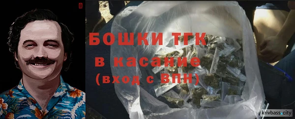 шишки Инсар