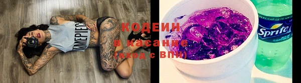 мдпв Бикин