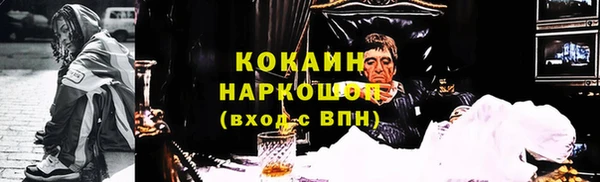 шишки Инсар