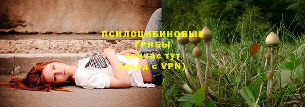 таблы Пересвет